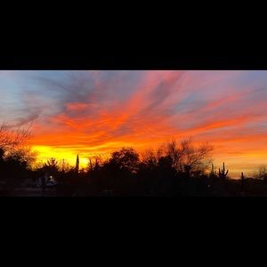 Meet your Posher, Richard